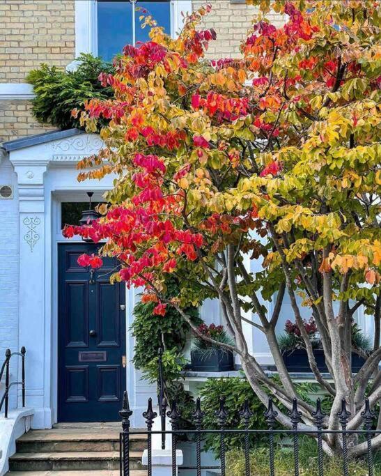 Chelsea Posh Apartment Londyn Zewnętrze zdjęcie